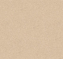 Ковролин Radici Abetone Polvere 4838 фото 1 | FLOORDEALER